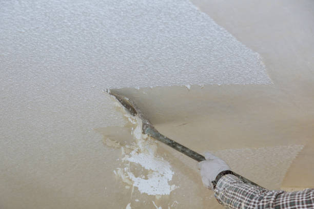 Popcorn ceiling removal